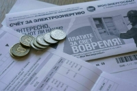 В Совфеде рассказали, сколько на самом деле россияне задолжали за электричество