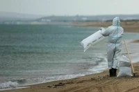 В Краснодарском крае потепление привело к локальным выбросам нефти на берег