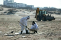 Возможность открыть курортный сезон на Кубани обсудят с Роспотребнадзором