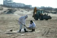 Возможность открыть курортный сезон на Кубани обсудят с Роспотребнадзором