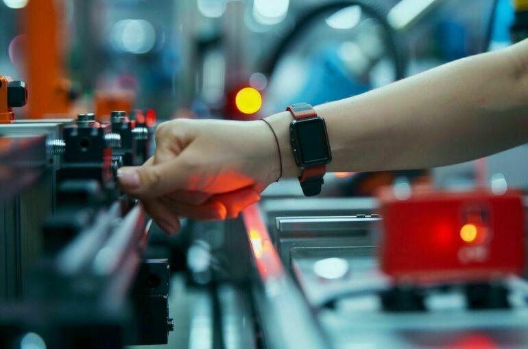 В Счетной палате выявили иностранные компоненты в российской продукции