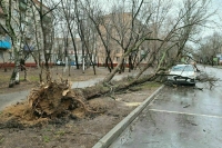 Москвичей предупредили о штормовом ветре 14 марта