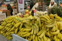 Бананы могут включить в список сельхозпродукции в России