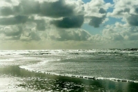 В команде столкнувшегося с танкером судна Solong есть пять россиян