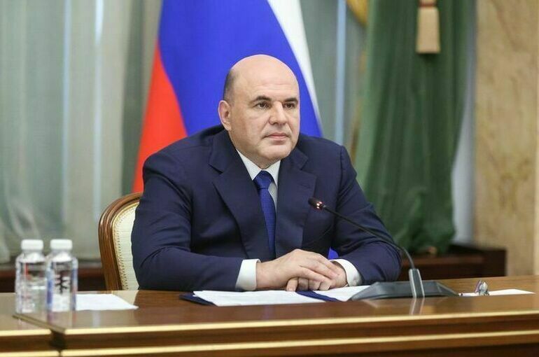 Мишустин пообещал изучить предложения депутатов от ЛДПР
