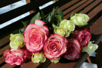 Пошлины на ввоз цветов из недружественных стран предлагают повысить до 35 процентов