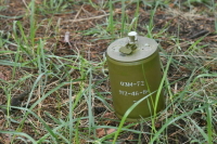 В странах Балтии и Польше призвали выйти из Конвенции о запрете противопехотных мин