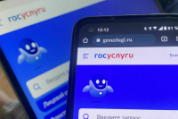 В Татарстане пресекли сеть узлов связи, подменивавших номера для кражи кодов от «Госуслуг»