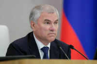 Володин предложил выделять субсидии для развития пассажирских перевозок по Волге