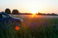 Вдовам бойцов СВО разрешат использовать их транспорт до вступления в наследство