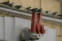 Дептранс: В приложении «Метро Москвы» могут наблюдаться сбои