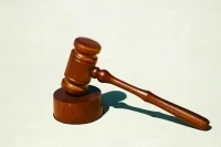 Суд приговорил Марин Ле Пен к лишению свободы на 4 года