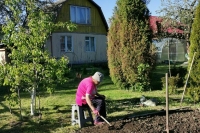 Вопросы регулирования в области садоводства предложили привести к единообразию