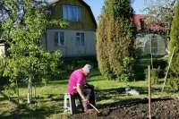 Вопросы регулирования в области садоводства предложили привести к единообразию