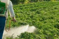 Депутаты предложили разрешить уничтожать контрафактные пестициды