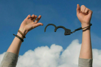 Маск призвал освободить Ле Пен