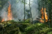 В Хакасии введен режим ЧС из-за непогоды и ухудшения пожарной обстановки