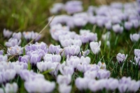 Москвичам рассказали о возможном потеплении до +20 градусов через неделю 