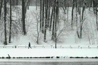 Синоптик Шувалов: В отдельных областях перевыполнена месячная норма осадков