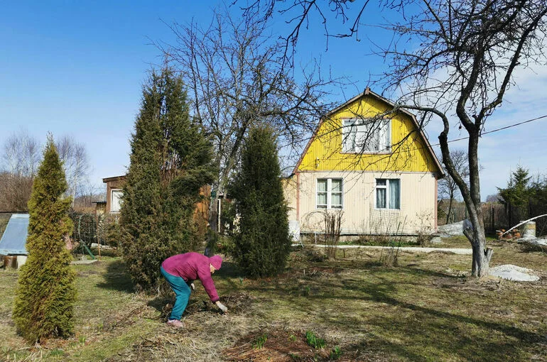 Дачникам рассказали, какие садовые работы нужно провести в апреле