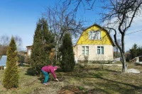 Дачникам рассказали, какие садовые работы нужно провести в апреле