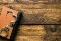 Задержанная ректор Псковского университета задекларировала доход в 15 млн рублей