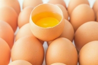 Эрдоган помог американцам не остаться без яиц