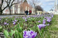 Москвичам спрогнозировали постепенное потепление с выходных
