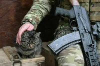 Оклады военных с 1 октября вырастут на 4,5 процента