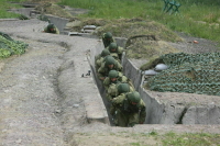 Бойцов-добровольцев освободят от призыва на службу и военных сборов