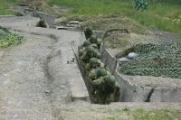 Бойцов-добровольцев освободят от призыва на службу и военных сборов