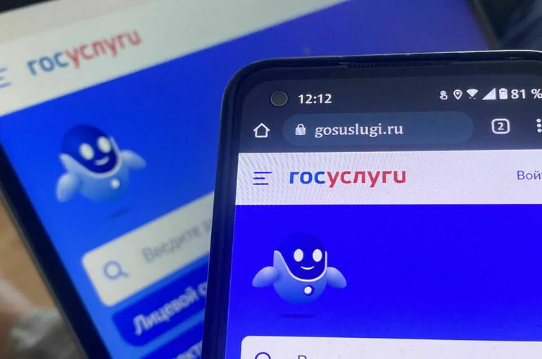 Шадаев: На «Госуслугах» может появиться возможность подачи заявления в полицию