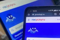 Шадаев: На «Госуслугах» может появиться возможность подачи заявления в полицию