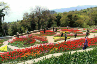 Никитский ботанический сад получил новый статус