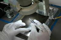 Путин поручил подготовить предложения по сохранению научного наследия ученых