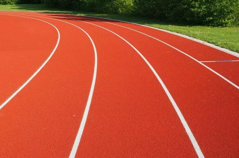 Оставивших Россию спортсменов лишат званий
