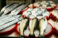 Закупку импортной рыбной продукции для госнужд предложили запретить