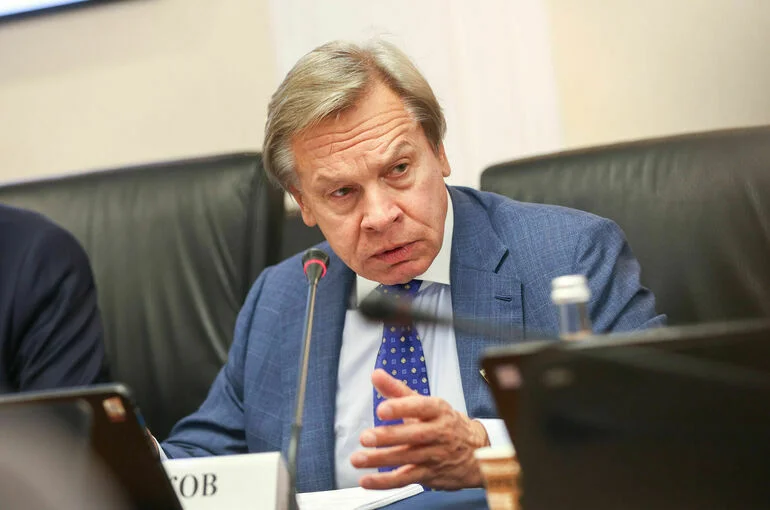 Сенатор Пушков назвал европейских противников мира, управляющих Зеленским