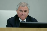 Володин: Институт парламентаризма в России прошел большой путь становления