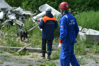 Региональных и федеральных спасателей хотят уравнять в праве на досрочную пенсию
