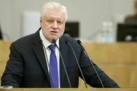 Депутат Миронов предложил высылать из России легализованных через взятки мигрантов