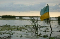 Украинских военкомов без боевого опыта отправят на фронт