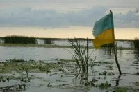 Украинских военкомов без боевого опыта отправят на фронт