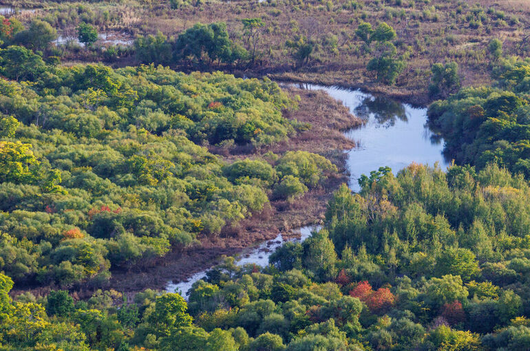 Власти запретили посещать леса вокруг воинской части под Владимиром