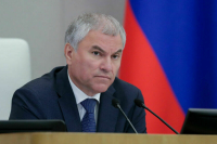 Володин проводит опрос о предельно допустимом количестве сим-карт