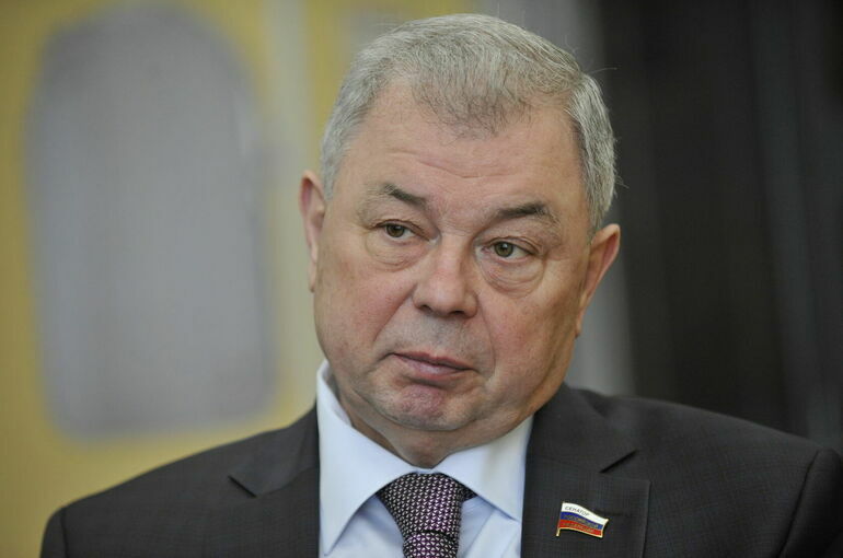 Сенатор Артамонов назвал обновленные переходы в Кисловодске арт-объектами   