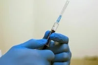 Эксперты рассказали, когда в ветаптеки вернутся российские вакцины от бешенства