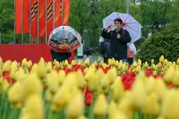 Москвичам пообещали потепление с 15 мая