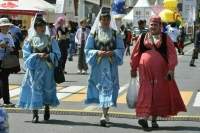 Депутаты предложили запретить иноагентам учреждать национально-культурные автономии