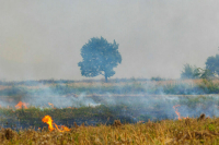 Роскосмос: Космодром Восточный работает в штатном режиме